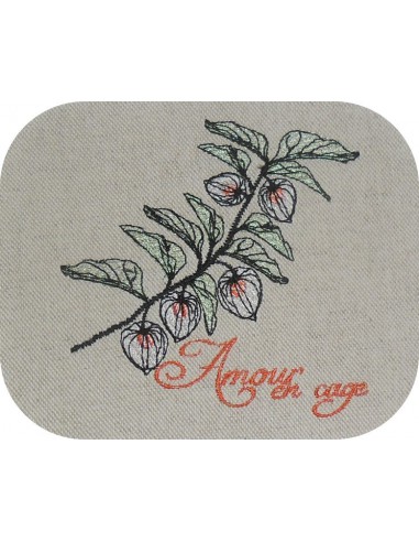 Motif De Broderie Physalis Ou Amour En Cage